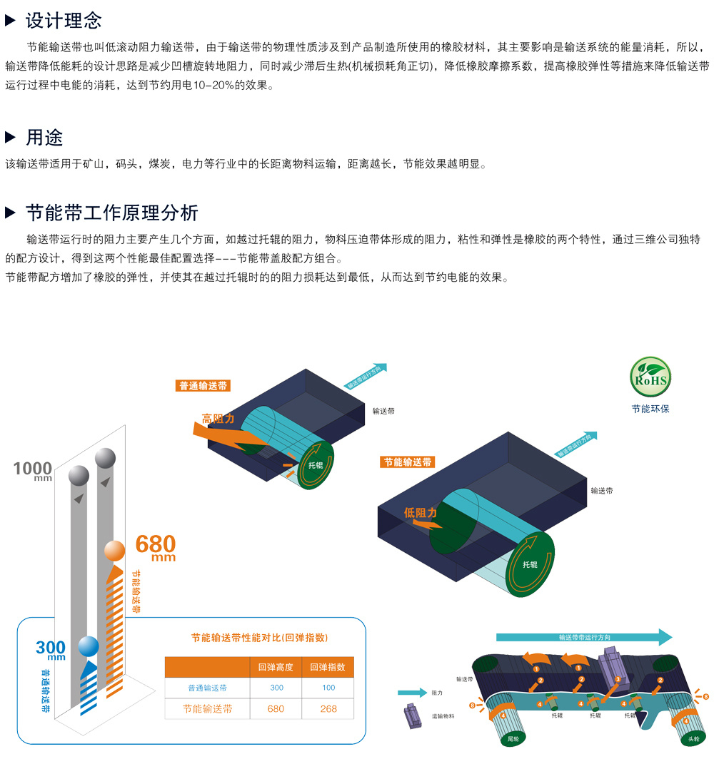 56444018-bd5c-4fdc-9e2b-e692fb4f3971_副本.jpg